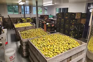 25 Clove Rd, Wantage, NJ 07461 - Photo 5