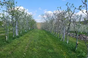 25 Clove Rd, Wantage, NJ 07461 - Photo 35