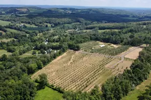 25 Clove Rd, Wantage, NJ 07461 - Photo 3