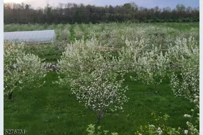 25 Clove Rd, Wantage, NJ 07461 - Photo 41