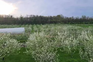 25 Clove Rd, Wantage, NJ 07461 - Photo 41