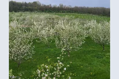 25 Clove Rd, Wantage, NJ 07461 - Photo 37