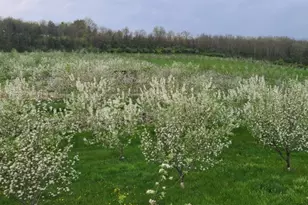 25 Clove Rd, Wantage, NJ 07461 - Photo 37