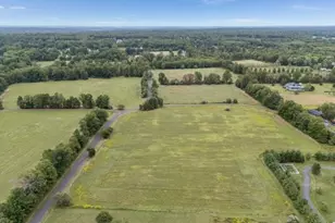 124 Fitzer Rd, Kingwood Township, NJ 08825 - Photo 17