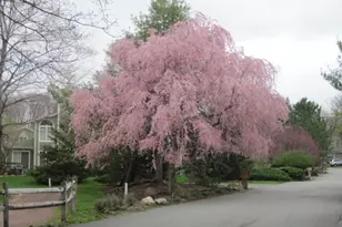 33 Stone Row Ln, Jefferson Township, NJ 07438 - Photo 27