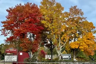 73 W Shawnee Trail, Jefferson Township, NJ 07885 - Photo 45