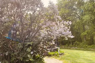 15 Dorset Dr, Mount Olive, NJ 07840 - Photo 47