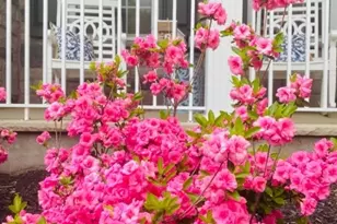 15 Dorset Dr, Mount Olive, NJ 07840 - Photo 49