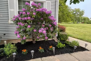 10 Apache Way, Branchburg Township, NJ 08876 - Photo 3