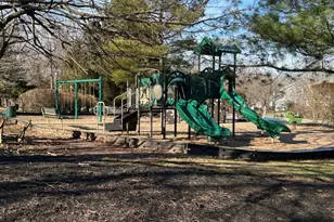 61 Cheswich Ct, Bedminster Township, NJ 07921 - Photo 25