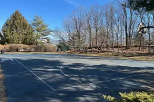 61 Cheswich Ct, Bedminster Township, NJ 07921 - Photo 23