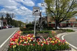 40 W Shore Rd, Denville, NJ 07834 - Photo 29