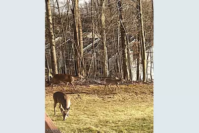 47 Edgefield Dr, Parsippany, NJ 07950 - Photo 39