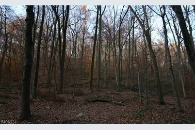 00 Sweet Hollow Rd, Holland Township, NJ 08848 - Photo 7