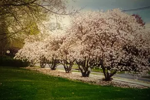 4 Highfield Ct, Wayne, NJ 07470 - Photo 37