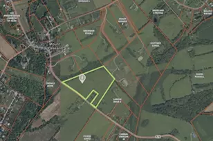 1726 County Road 519, Alexandria Township, NJ 08848 - Photo 3