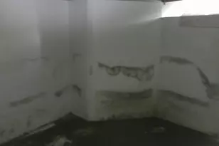 123 Nagle St, Paterson, NJ 07501 - Photo 31