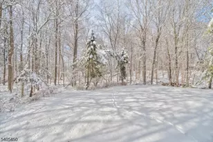 15 Paradise Pl, Roseland, NJ 07068 - Photo 25