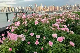 1200 Ave at Port Imperial, Weehawken Twp., NJ 07086 - Photo 43