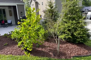 8 Madison Ave, Montclair, NJ 07042 - Photo 43