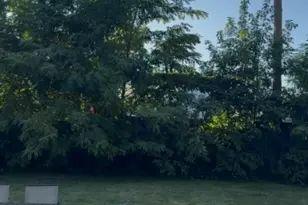 40 Johnson Ave, Cranford Township, NJ 07016 - Photo 23