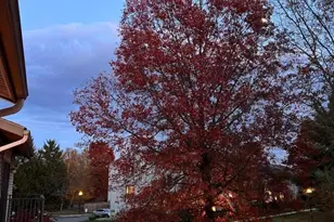 15 Sam Bonnell Dr, Clinton Township, NJ 08809 - Photo 25