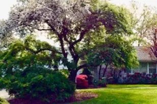 684 Longview Rd, South Orange, NJ 07079 - Photo 41