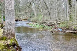 5 Downstream Dr, Mount Olive, NJ 07836 - Photo 33