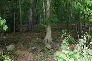 1128 Route 10, Randolph Township, NJ 07869 - Photo 1