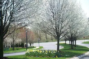 1056 Deerhaven Terrace, Lopatcong Township, NJ 08886 - Photo 17