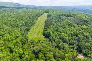 62 Mt Pleasant Rd, Knowlton Township, NJ 07832 - Photo 5