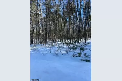 00 Martha St, Sandyston Township, NJ 07826 - Photo 3