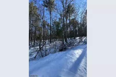 00 Martha St, Sandyston Township, NJ 07826 - Photo 9