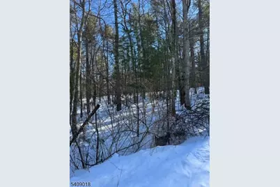 00 Martha St, Sandyston Township, NJ 07826 - Photo 5