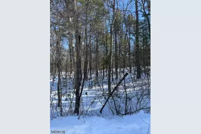 00 Martha St, Sandyston Township, NJ 07826 - Photo 1