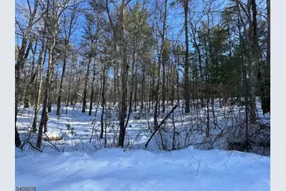 00 Martha St, Sandyston Township, NJ 07826 - Photo 7