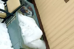 26 Dalbert St, Carteret, NJ 07008 - Photo 31