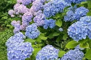 56 E Main St, High Bridge, NJ 08829 - Photo 41