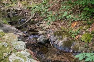 56 E Main St, High Bridge, NJ 08829 - Photo 43