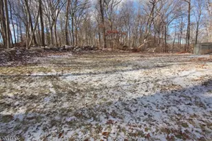 9 Newton Ave, Byram Township, NJ 07874 - Photo 19