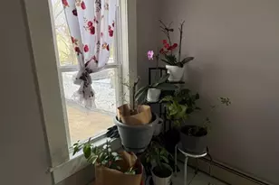 219 Stebbins Pl, Plainfield, NJ 07063 - Photo 13