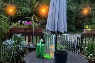 39 Oriole Terrace, Hampton Township, NJ 07860 - Photo 35