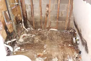 221 Boulevard Dr, Wayne, NJ 07470 - Photo 9