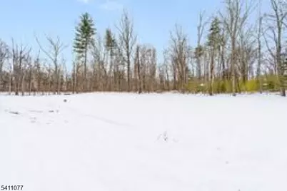 331 Mount Hermon Rd, Hope Township, NJ 07825 - Photo 23