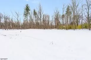 331 Mt Hermon Rd, Hope Township, NJ 07825 - Photo 23