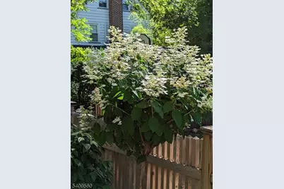 17 Collinwood Rd, Maplewood Twp., NJ 07040 - Photo 41