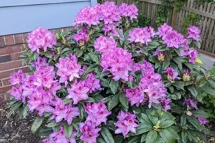 17 Collinwood Rd, Maplewood Twp., NJ 07040 - Photo 39