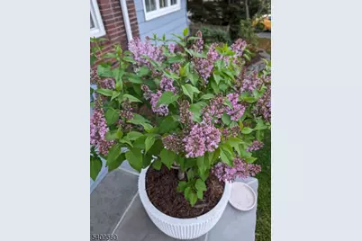 17 Collinwood Rd, Maplewood Twp., NJ 07040 - Photo 37