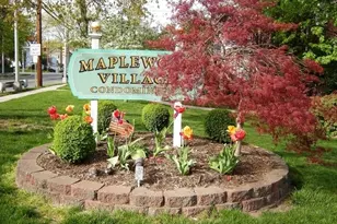 69B Meadowbrook Pl, Maplewood, NJ 07040 - Photo 19