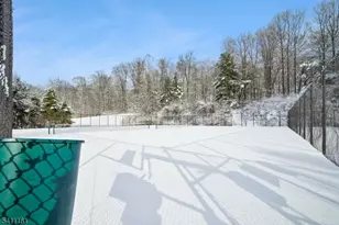 19 Birchwood Rd, Bedminster Township, NJ 07921 - Photo 31